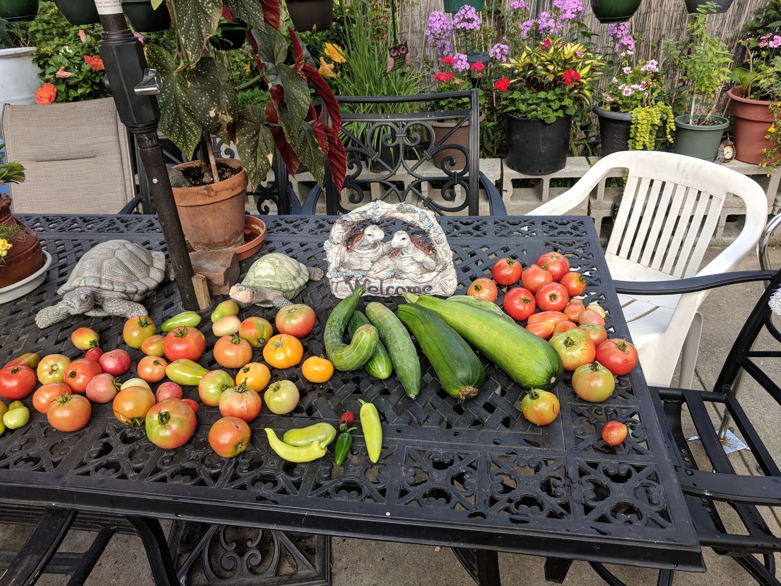 The week's harvest arranged on the table. August 2018.