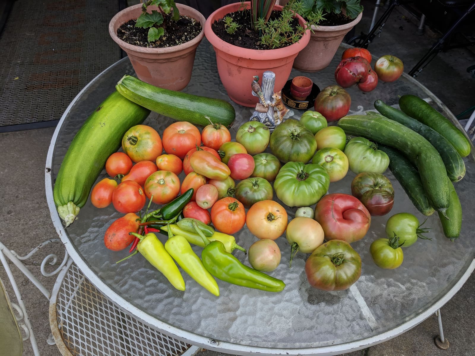 The week's harvest arranged on the table. August 2018.