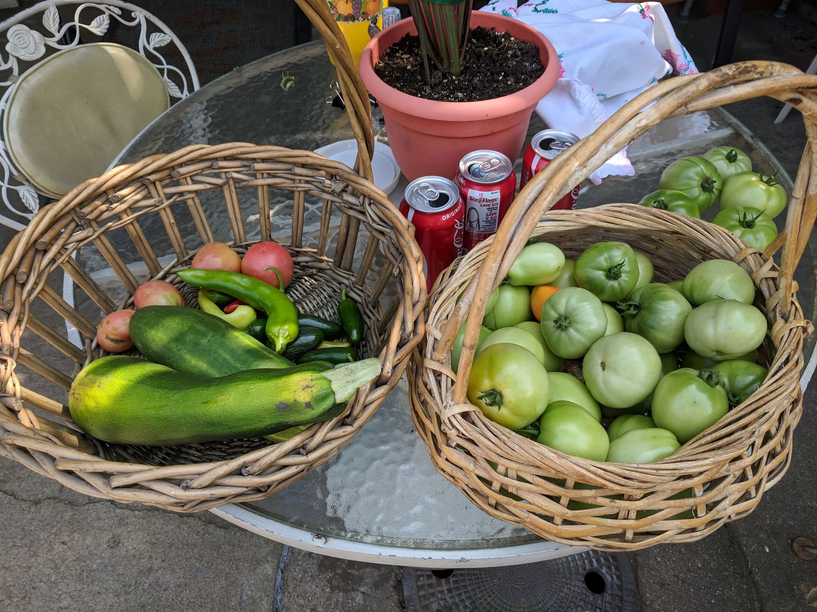 The week's harvest arranged on the table. July 2018.