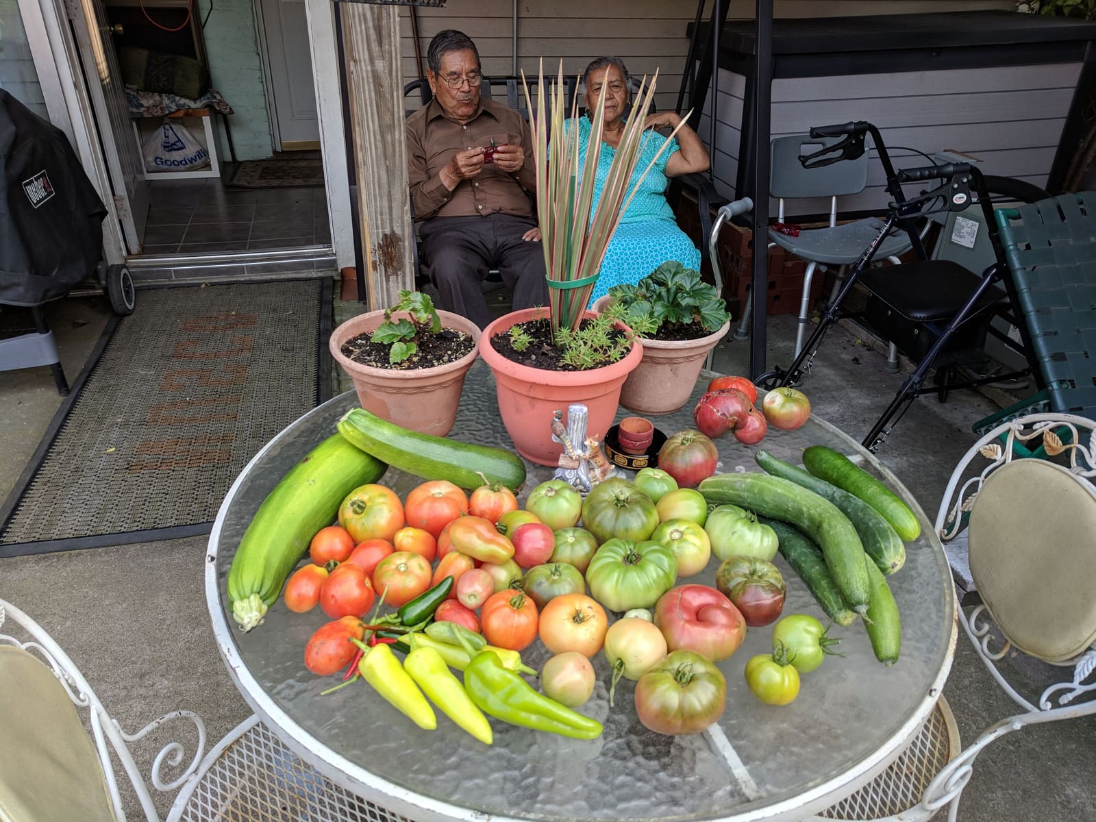 The week's harvest arranged on the table. August 2018.