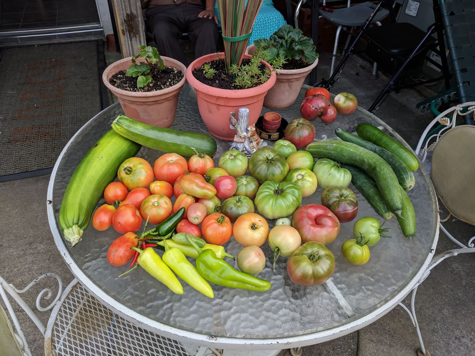 The week's harvest arranged on the table. August 2018.