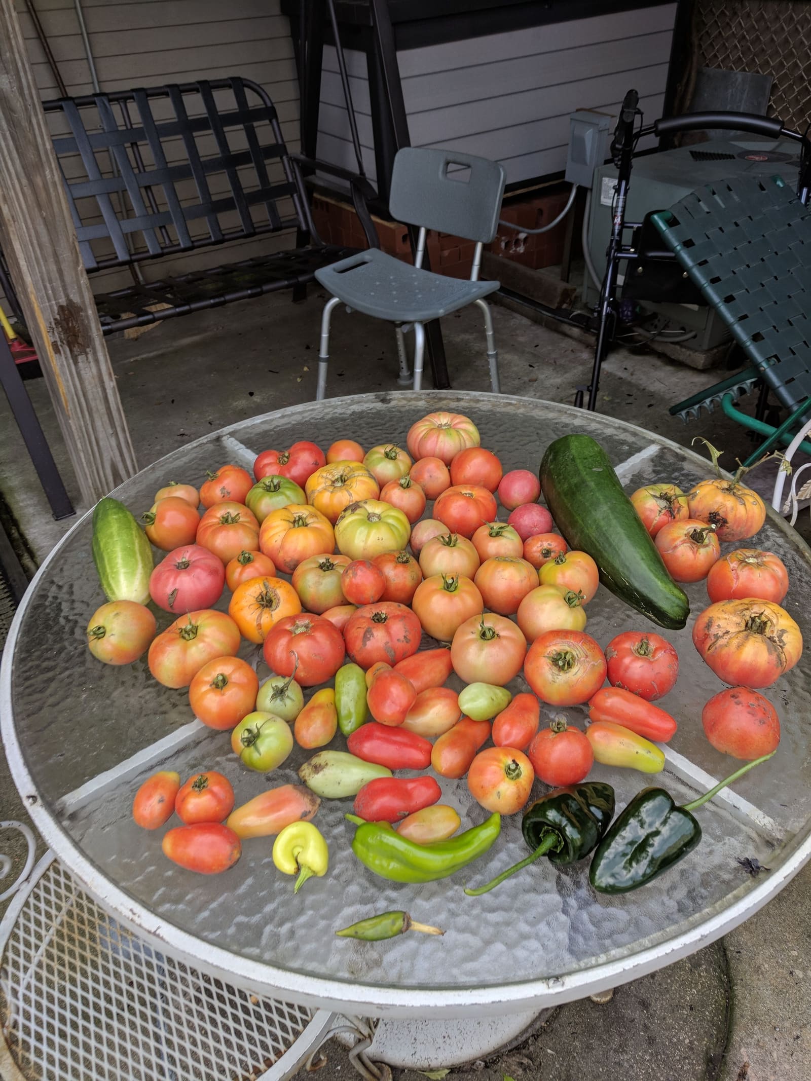 The week's harvest arranged on the table. September 2018.
