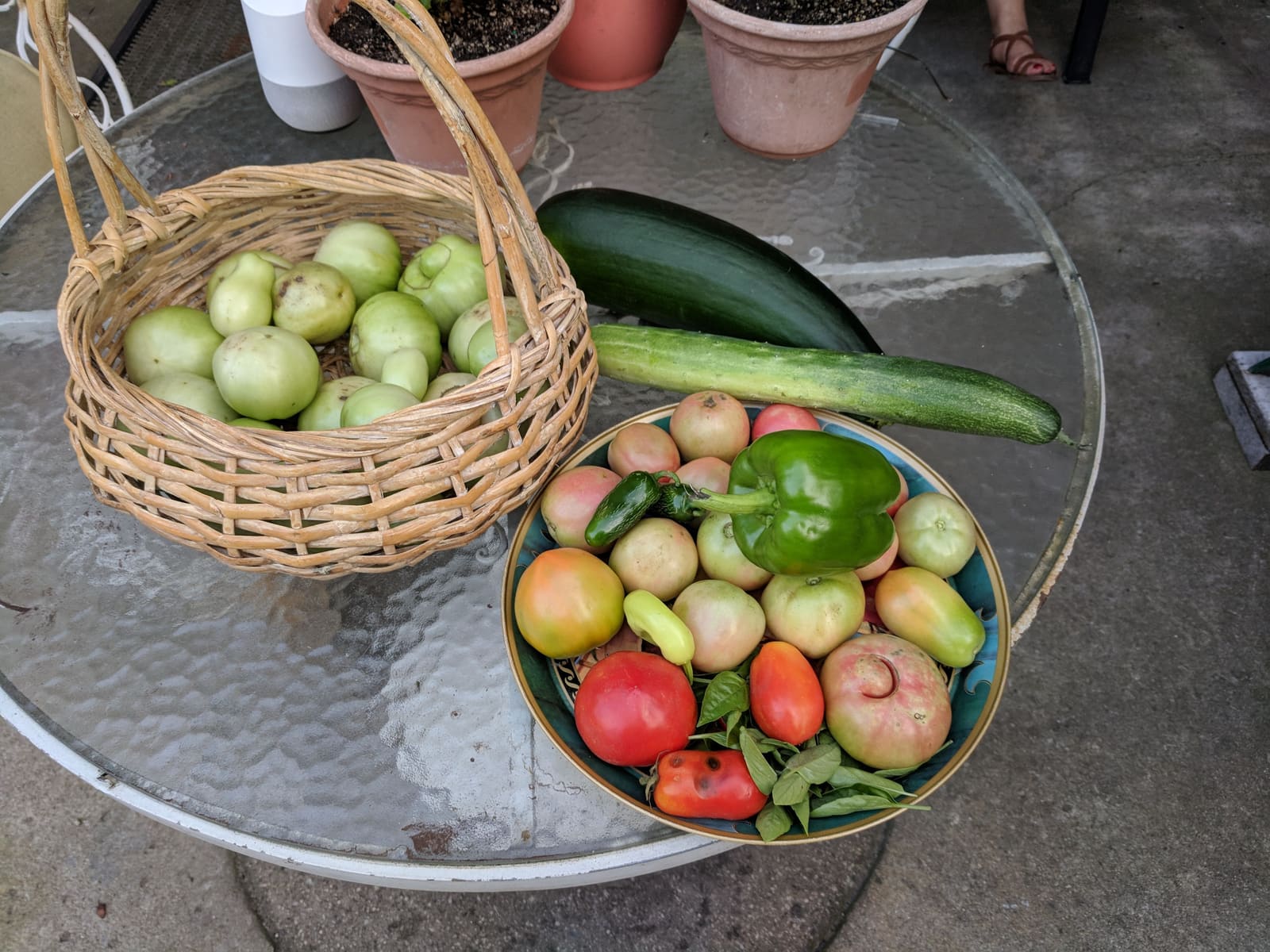 The week's harvest arranged on the table. August 2018.
