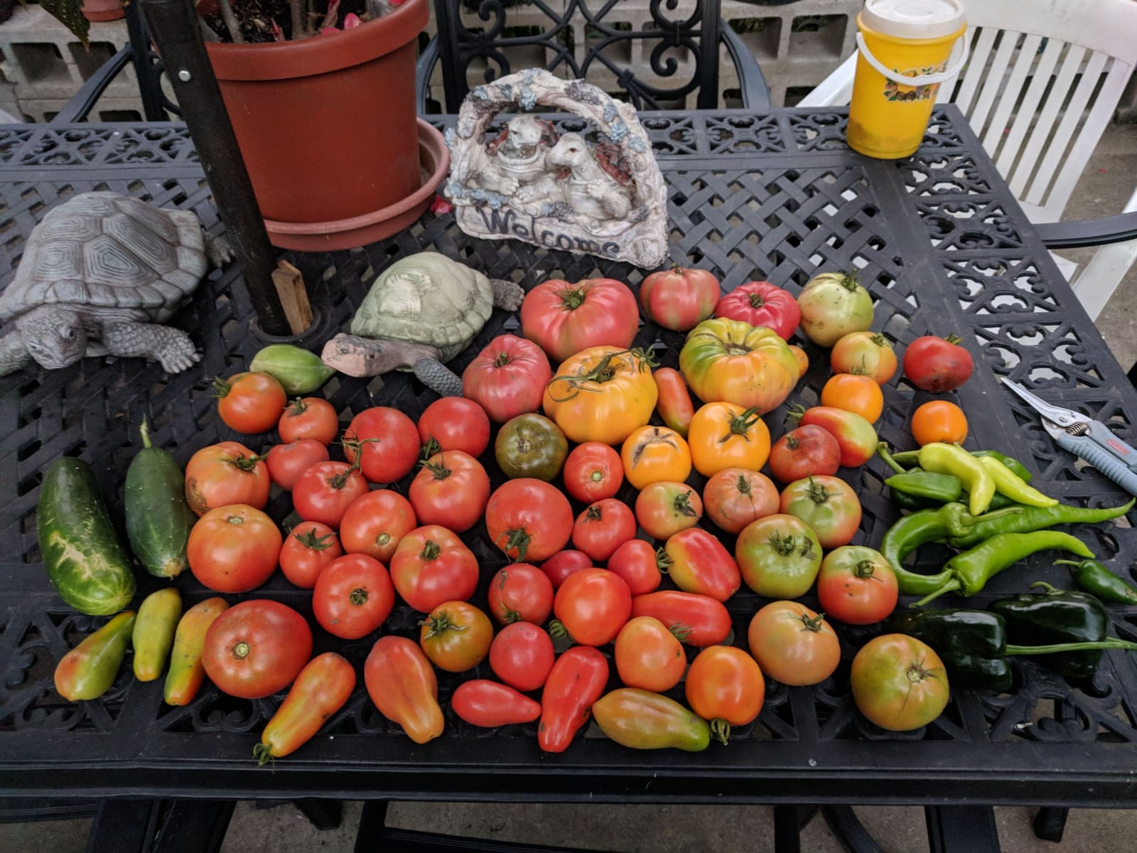 The week's harvest arranged on the table. September 2018.