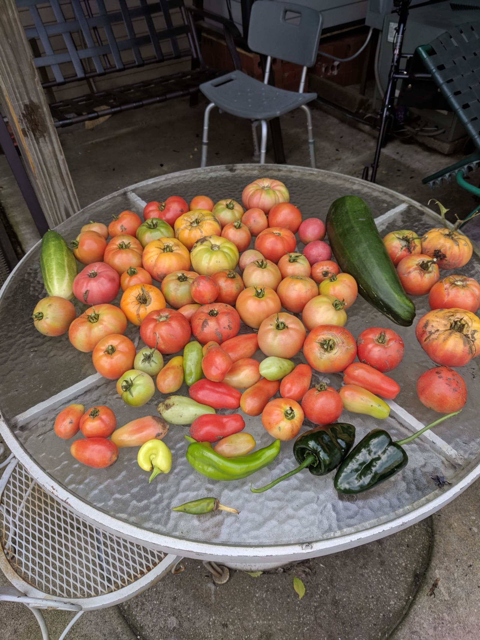 The week's harvest arranged on the table. September 2018.