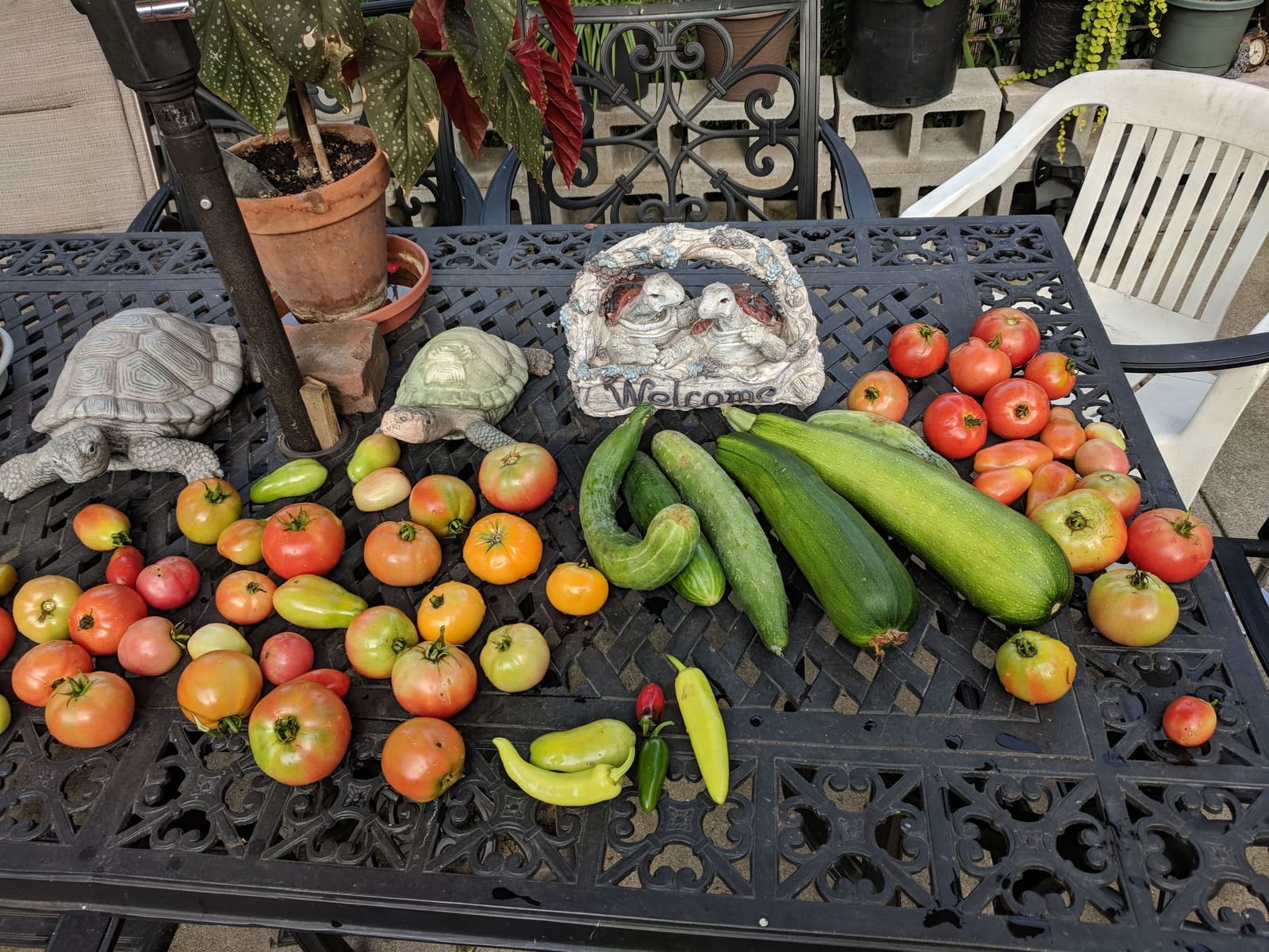 The week's harvest arranged on the table. August 2018.