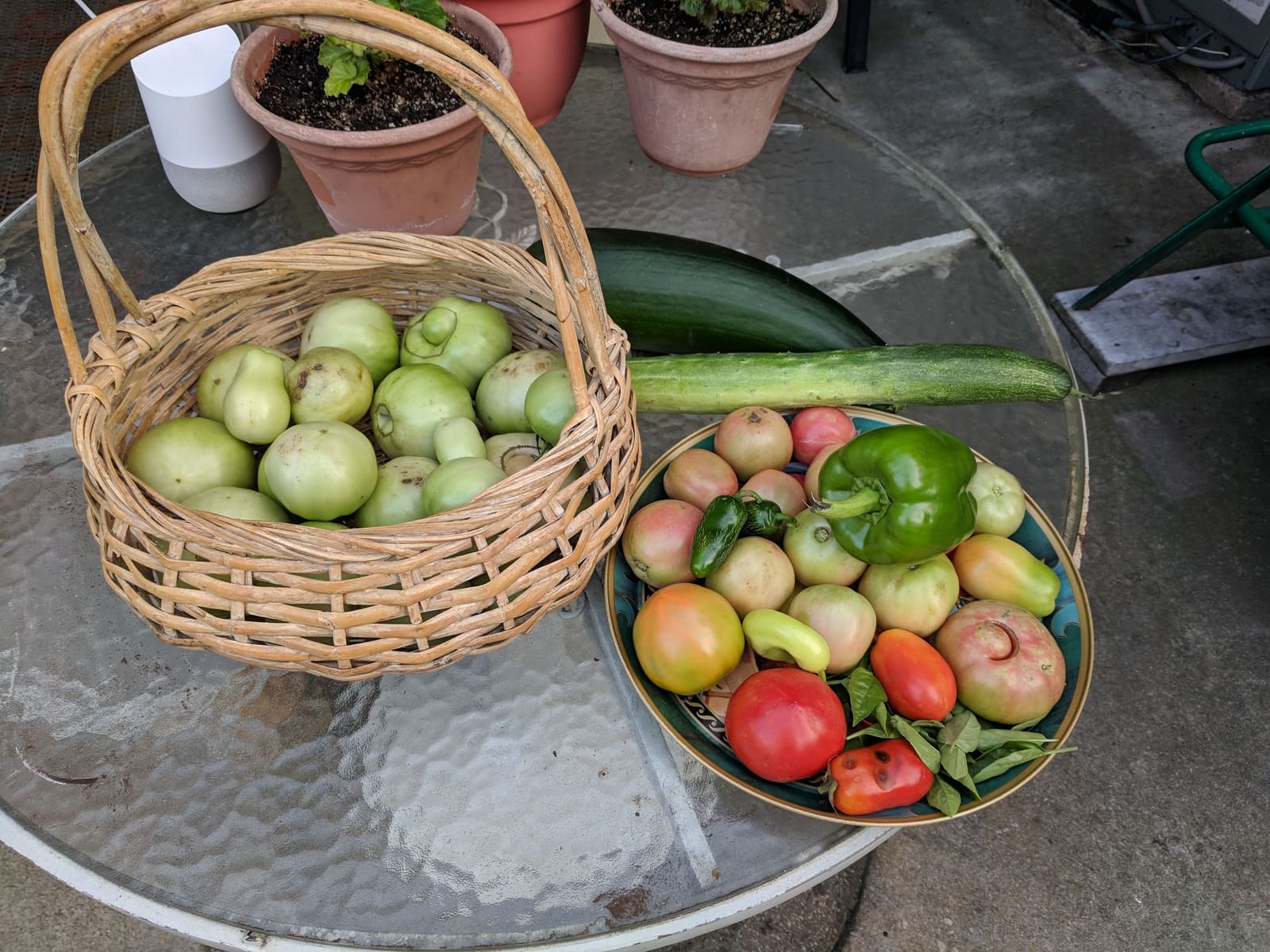The week's harvest arranged on the table. August 2018.