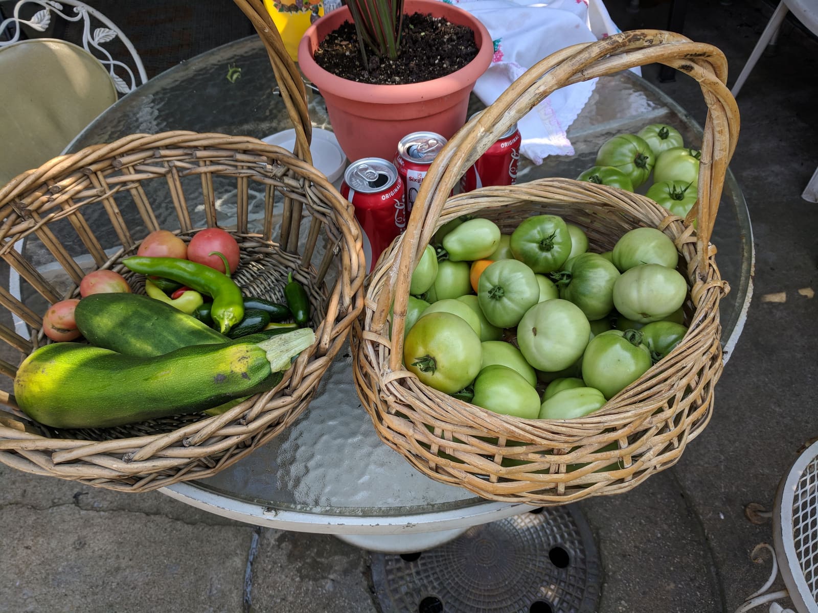 The week's harvest arranged on the table. July 2018.