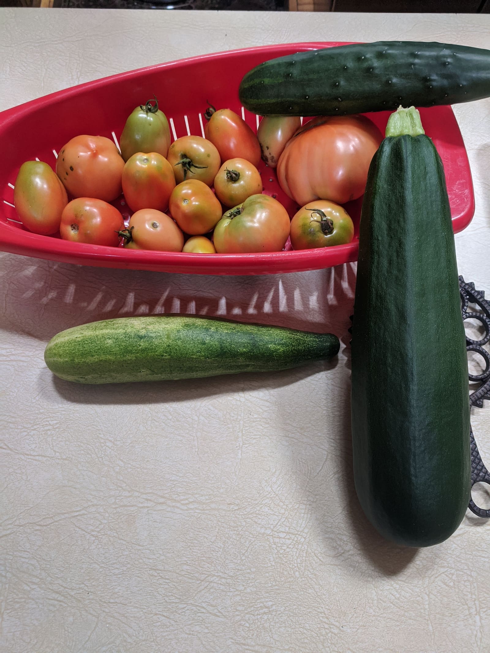 The week's harvest arranged on the table. July 2020.