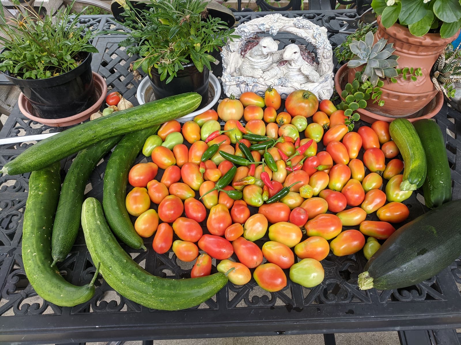The week's harvest arranged on the table. July 2021.