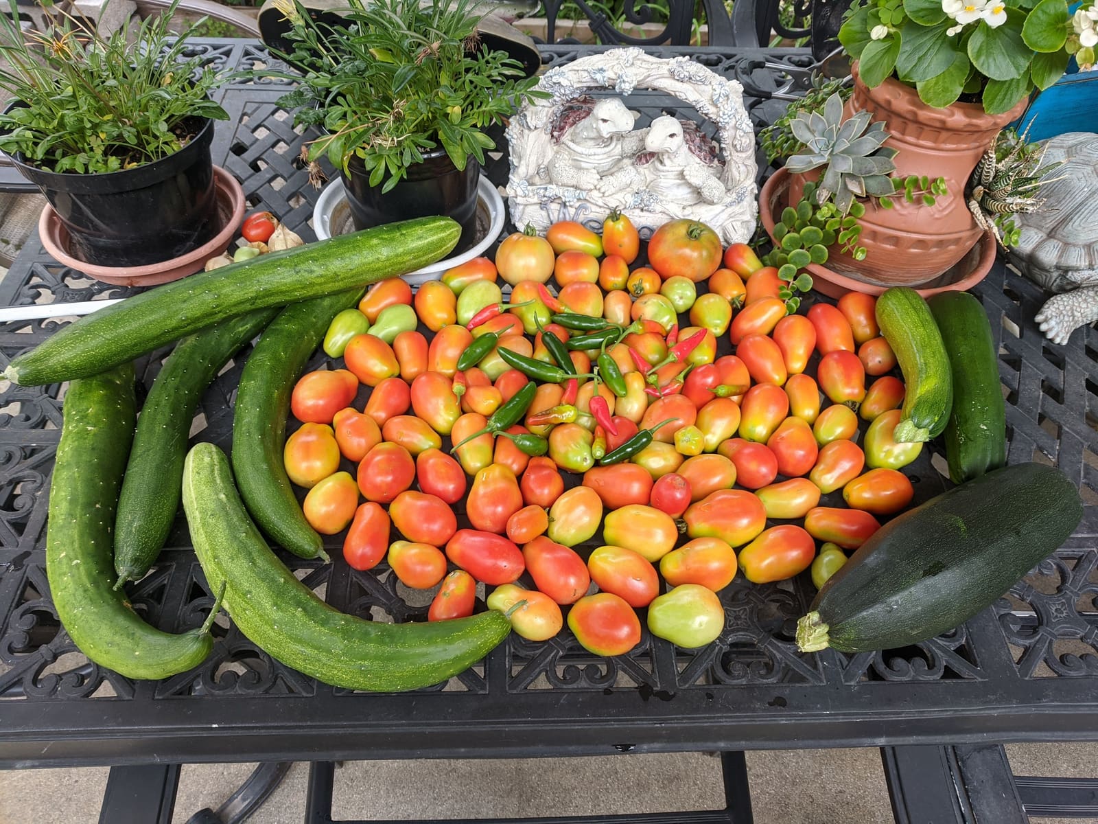 The week's harvest arranged on the table. July 2021.