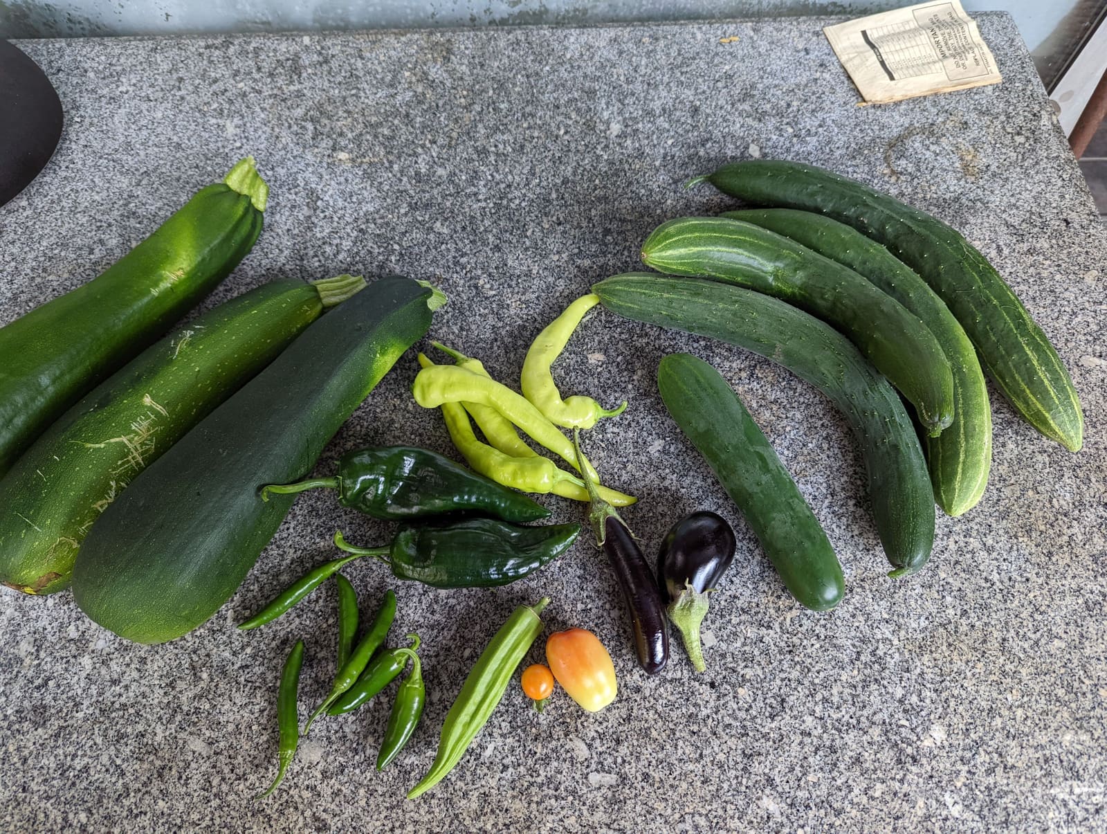 Vegetables picked that week. July 2022.