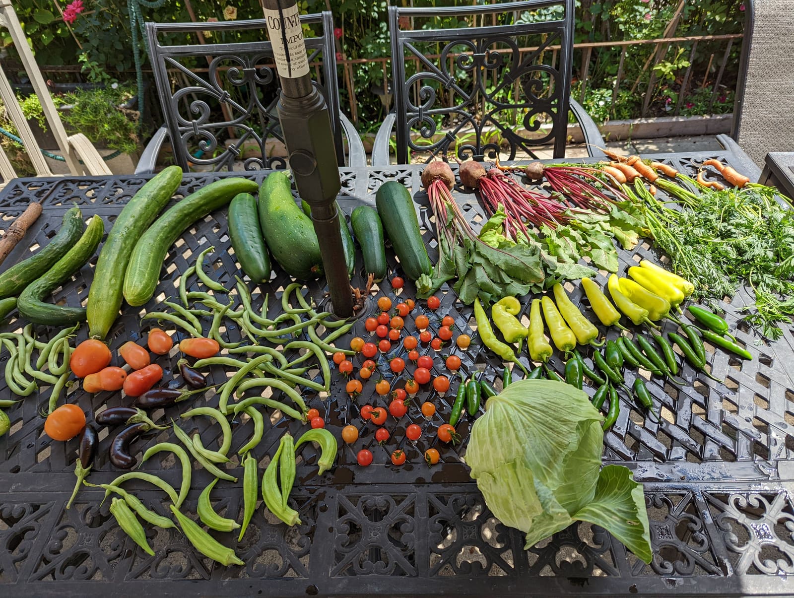 The week's harvest arranged on the table. July 2022.