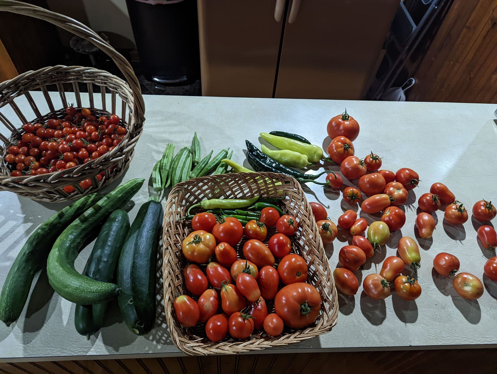 The week's harvest arranged on the table. August 2022.