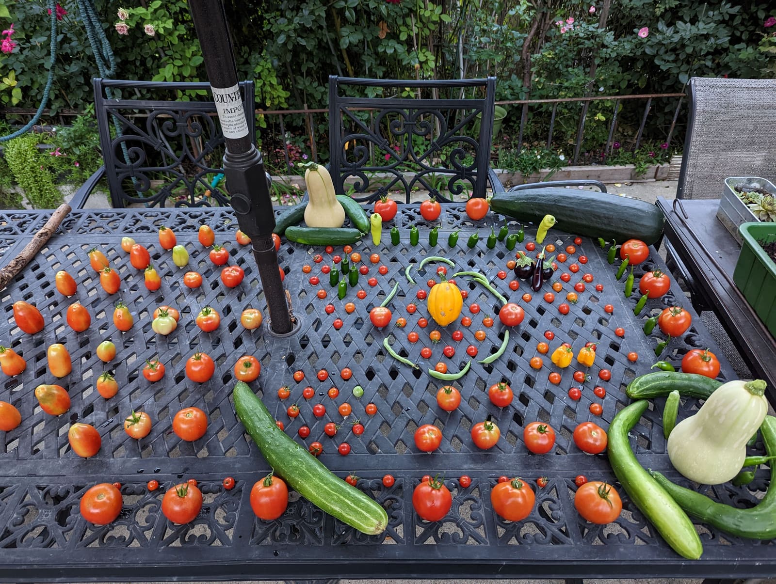 The week's harvest arranged on the table. September 2022.