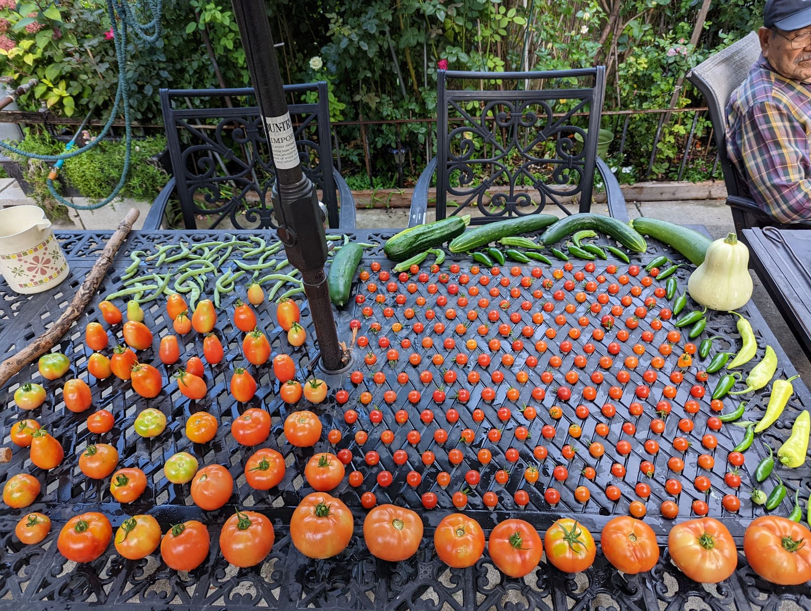 The week's harvest arranged on the table. August 2022.