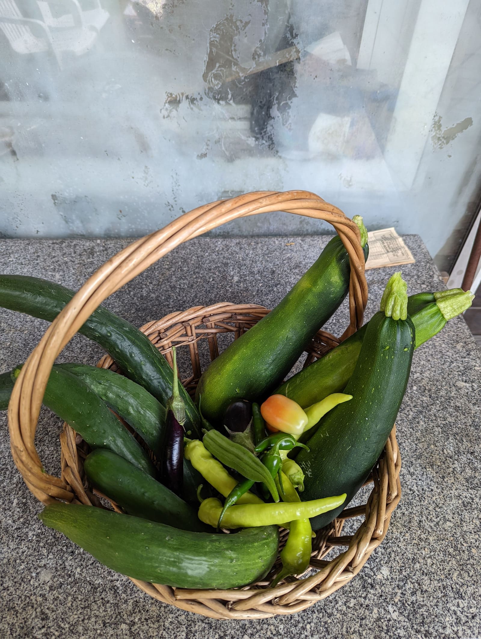The week's harvest arranged on the table. July 2022.