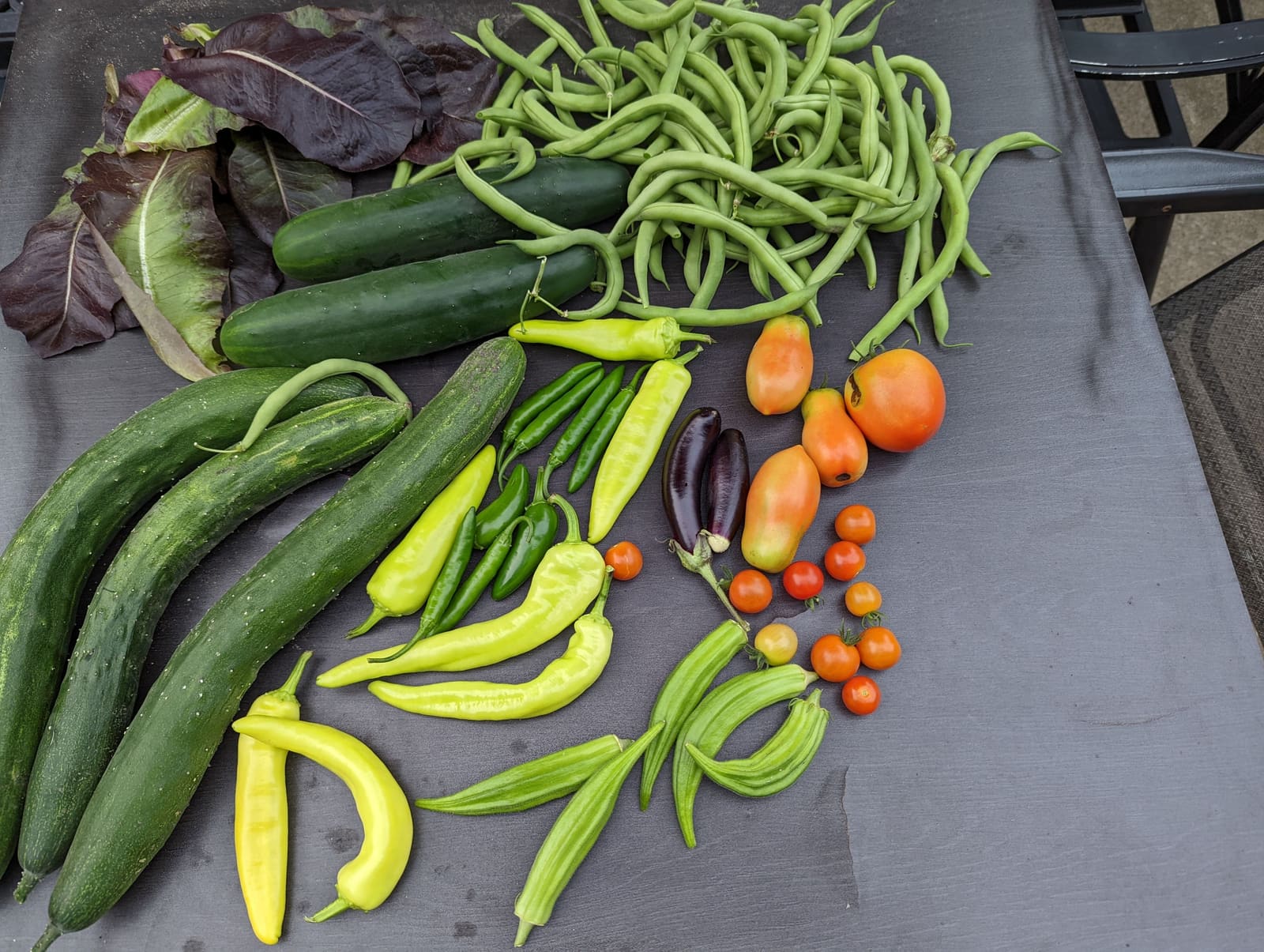 The week's harvest arranged on the table. July 2022.