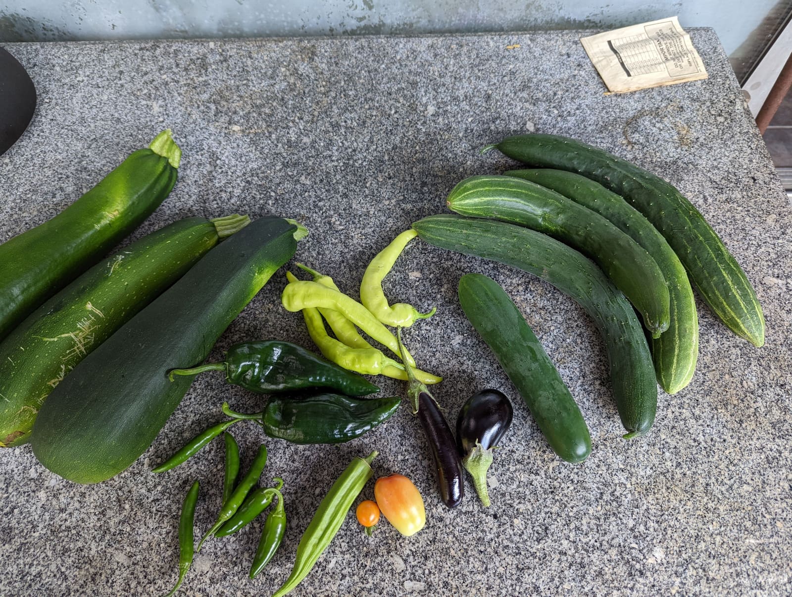Vegetables picked that week. July 2022.