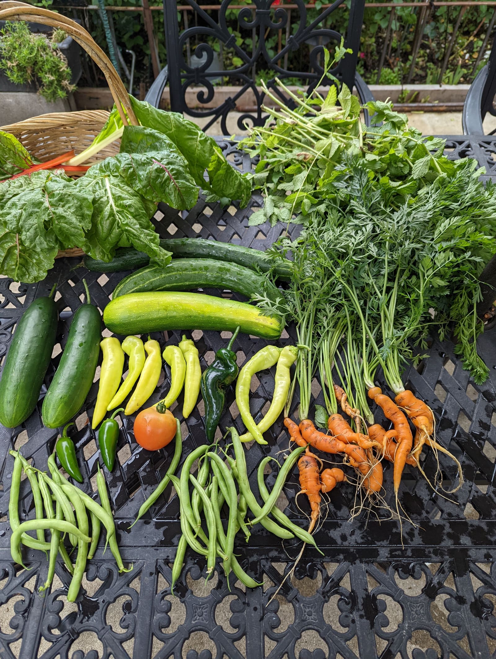 The week's harvest arranged on the table. July 2022.