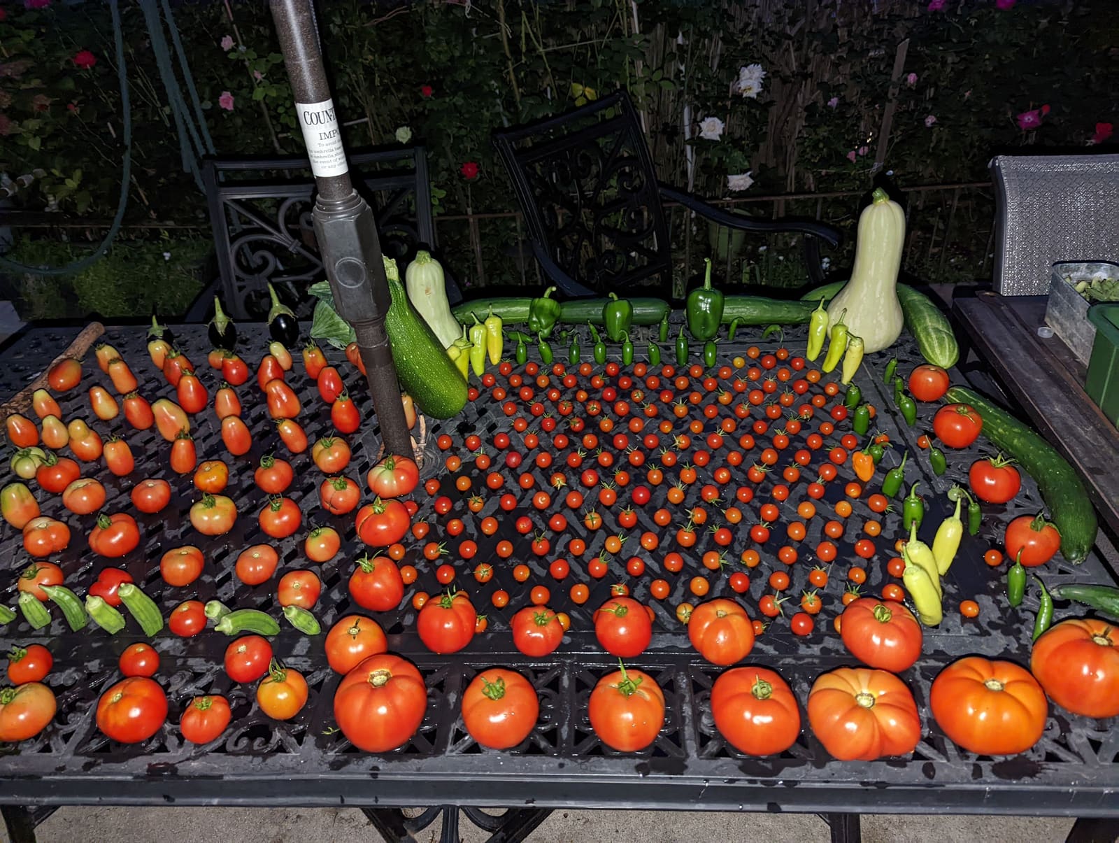 The week's harvest arranged on the table. August 2022.