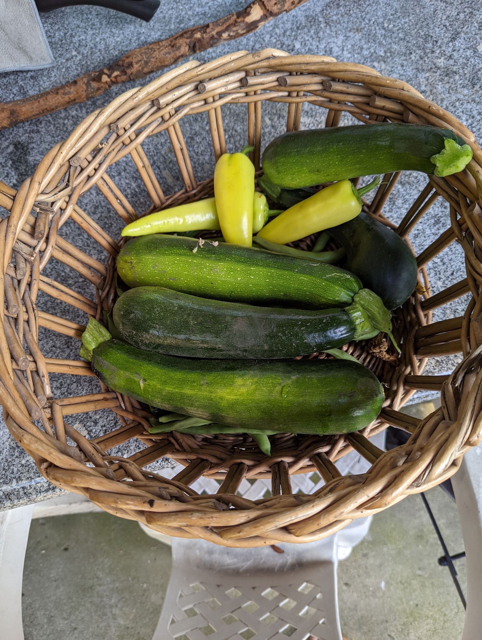 The week's harvest arranged on the table. July 2022.