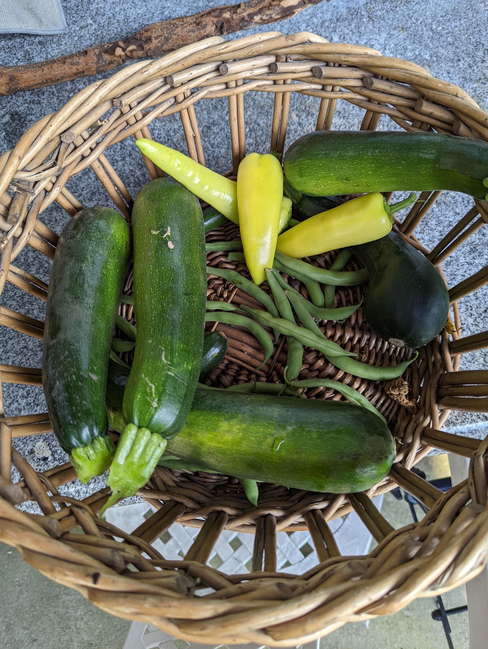The week's harvest arranged on the table. July 2022.