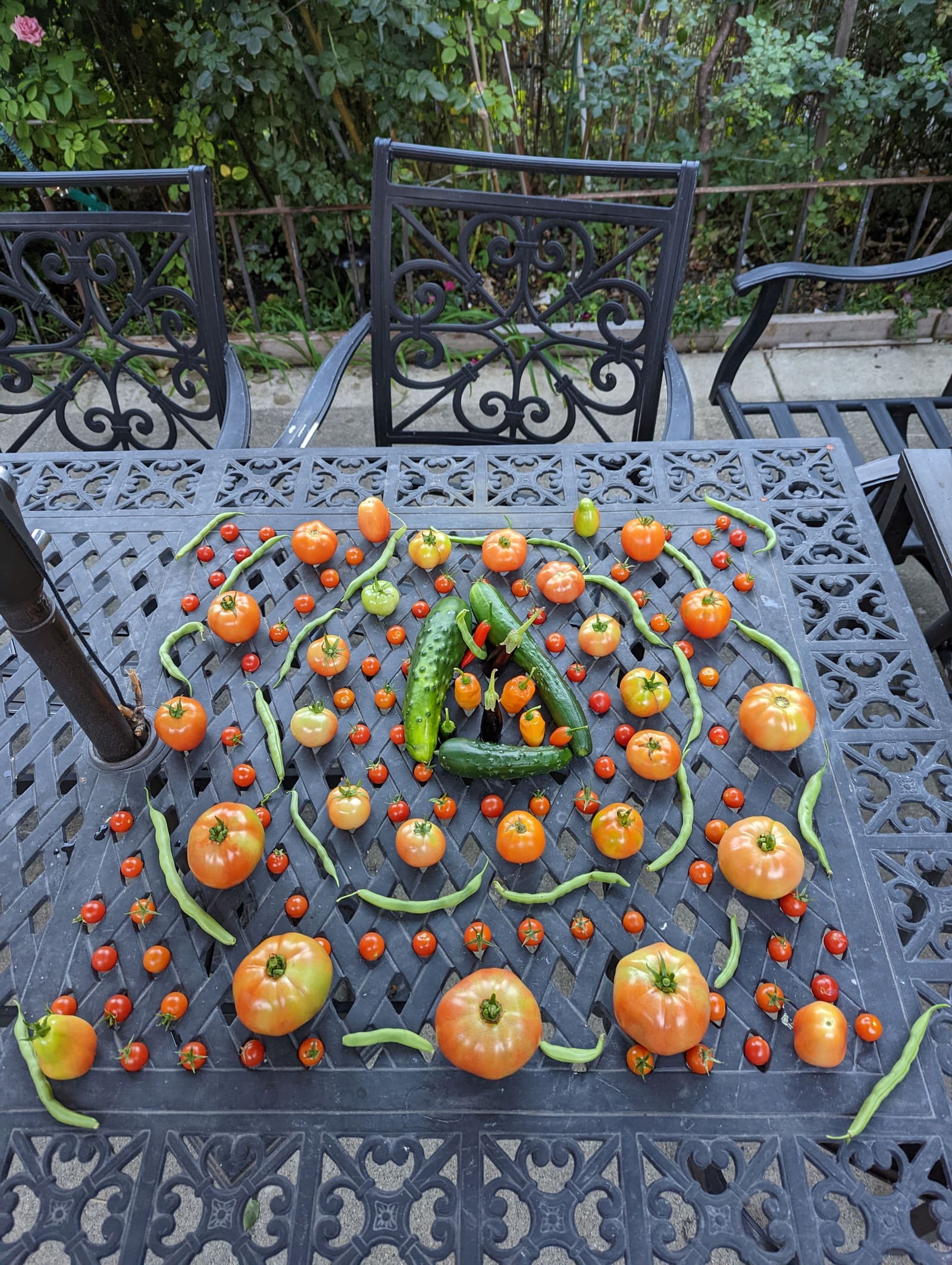 The week's harvest arranged on the table. October 2022.