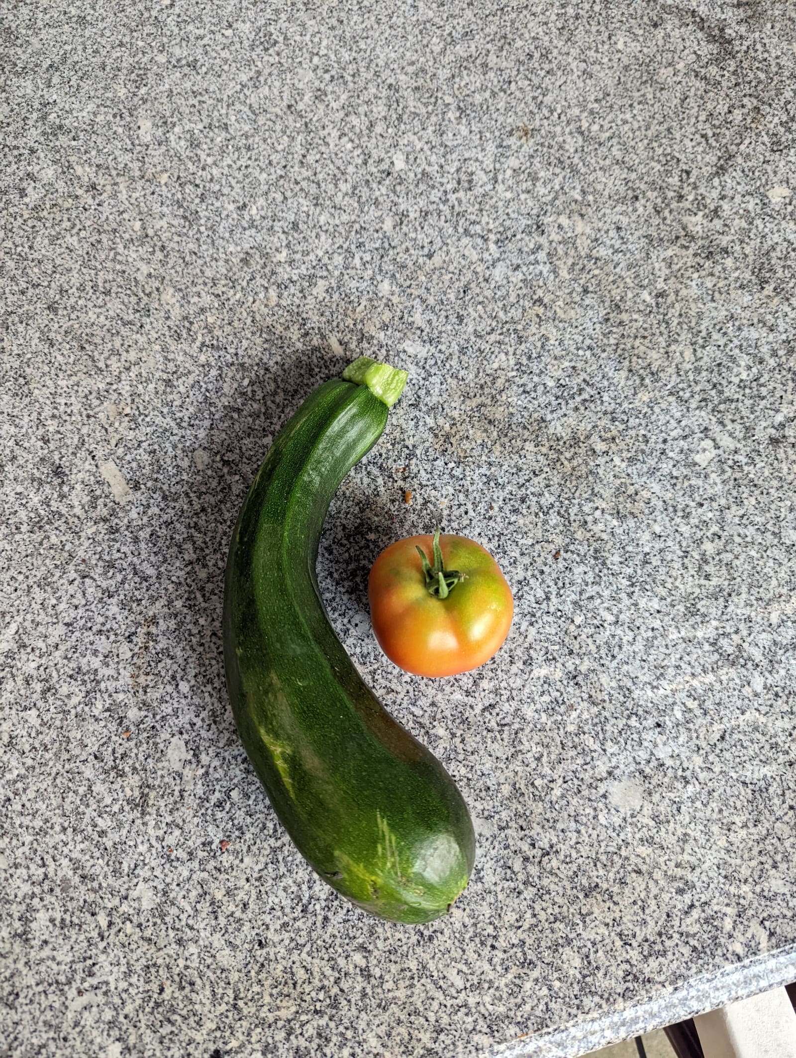 Vegetables picked that week. July 2022.