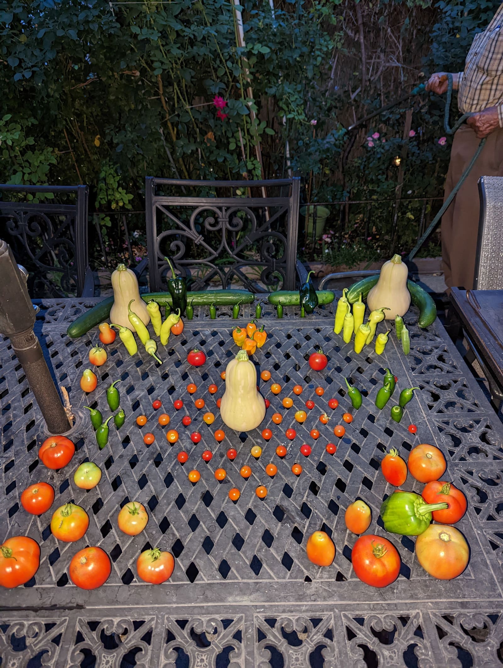 The week's harvest arranged on the table. September 2022.