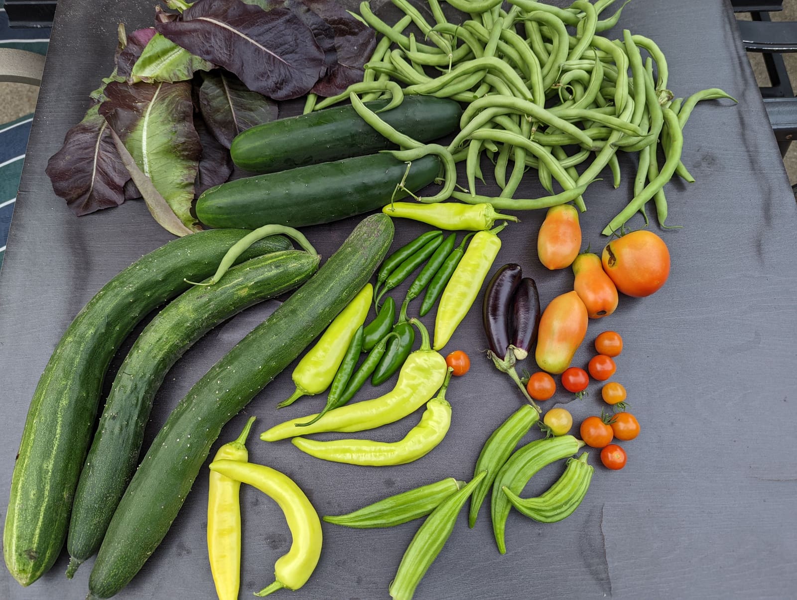 The week's harvest arranged on the table. July 2022.
