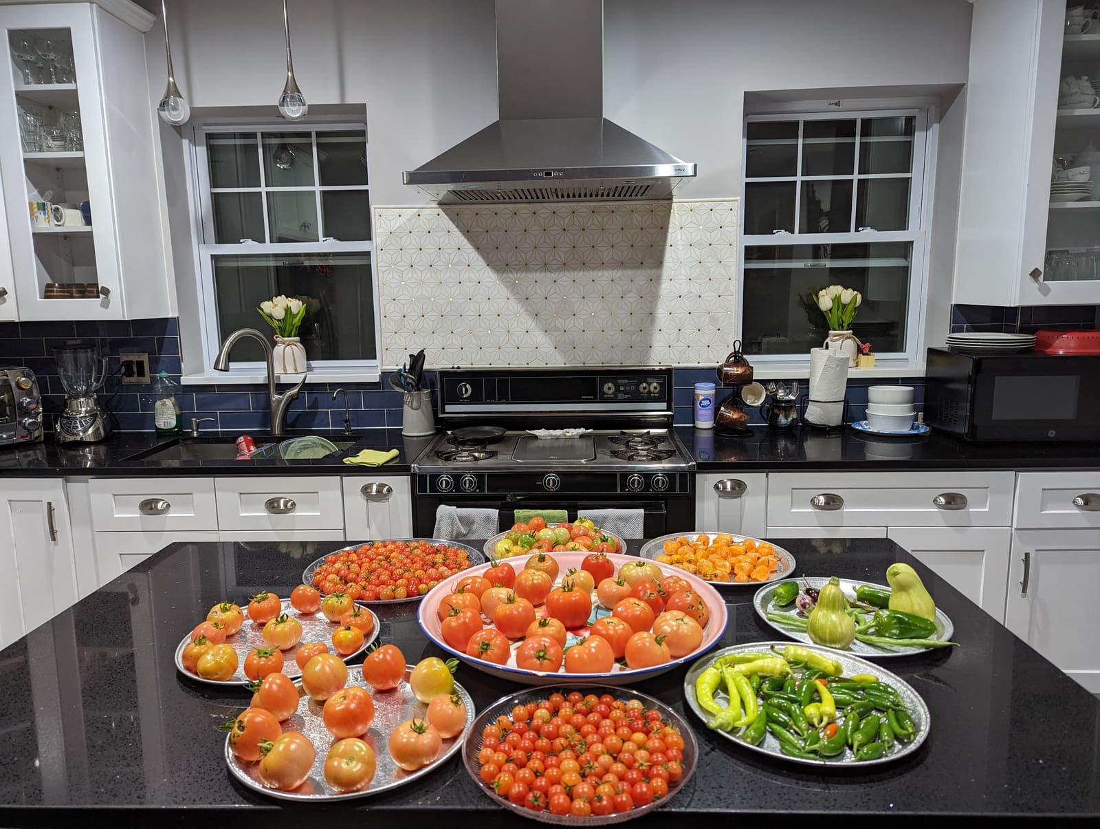 The week's harvest arranged on the table. November 2022.