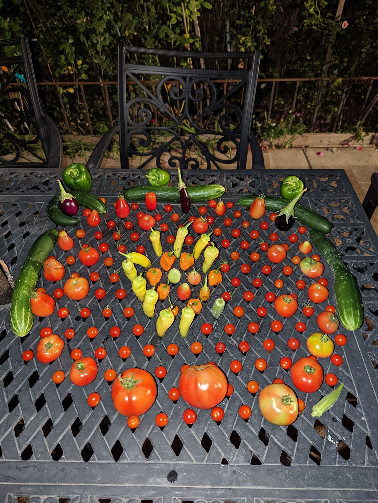 The week's harvest arranged on the table. September 2022.