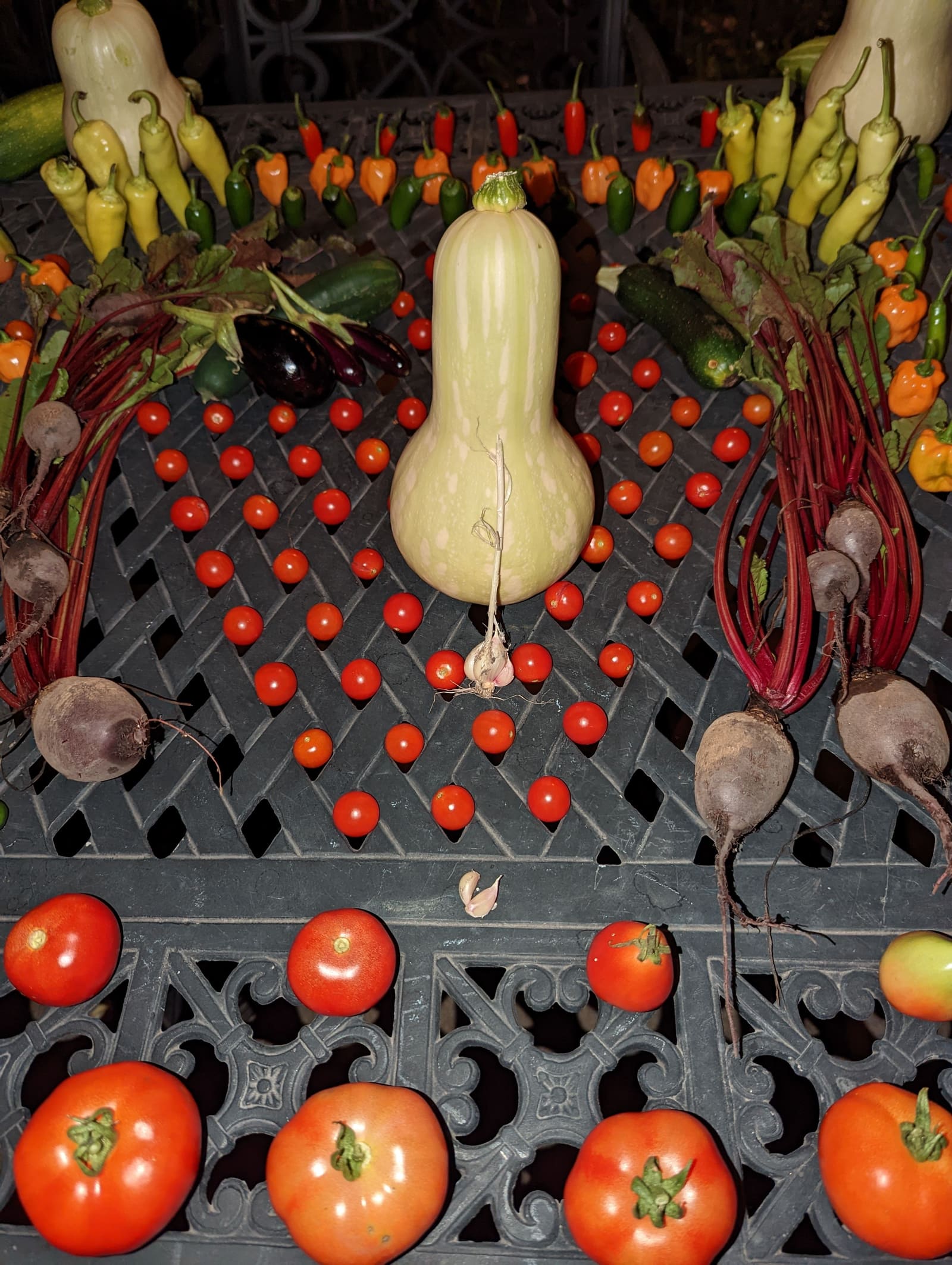 The week's harvest arranged on the table. September 2022.
