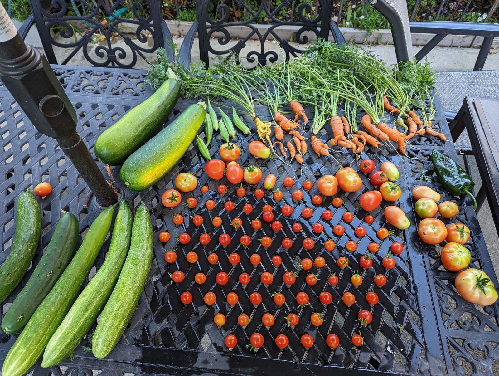 The week's harvest arranged on the table. August 2022.