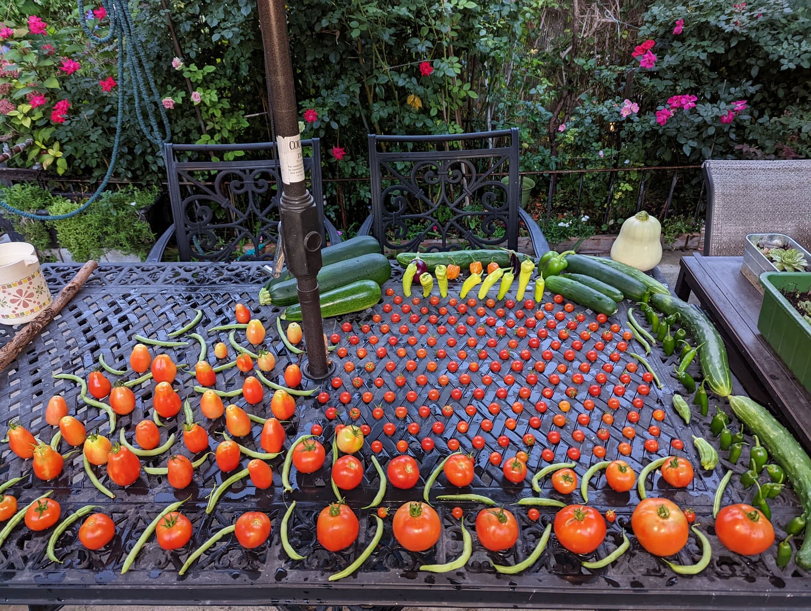 The week's harvest arranged on the table. September 2022.