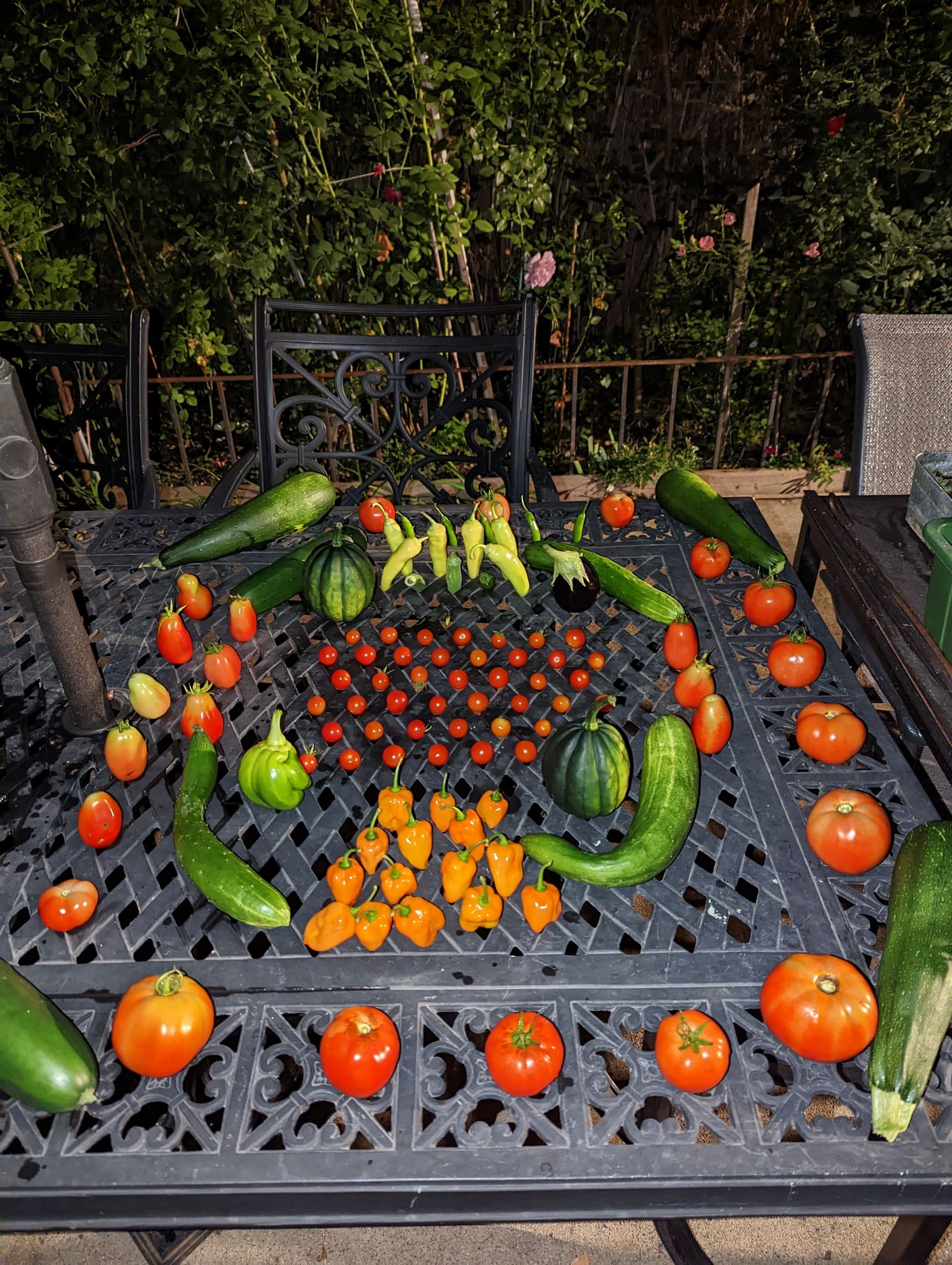 The week's harvest arranged on the table. September 2022.