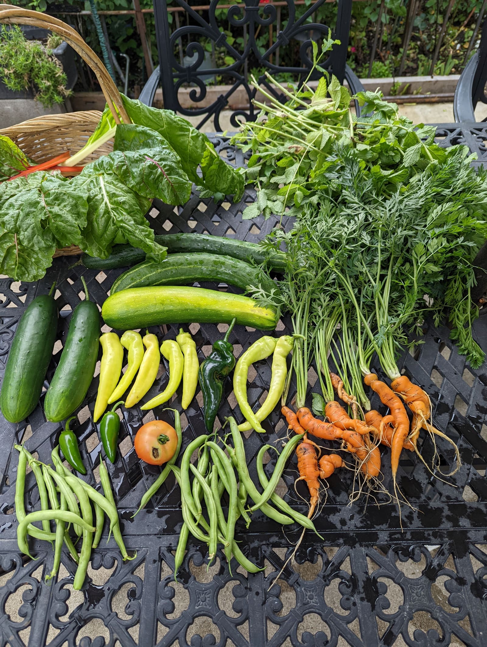 The week's harvest arranged on the table. July 2022.
