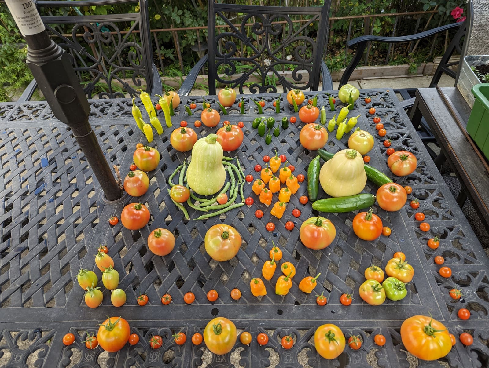 The week's harvest arranged on the table. October 2022.
