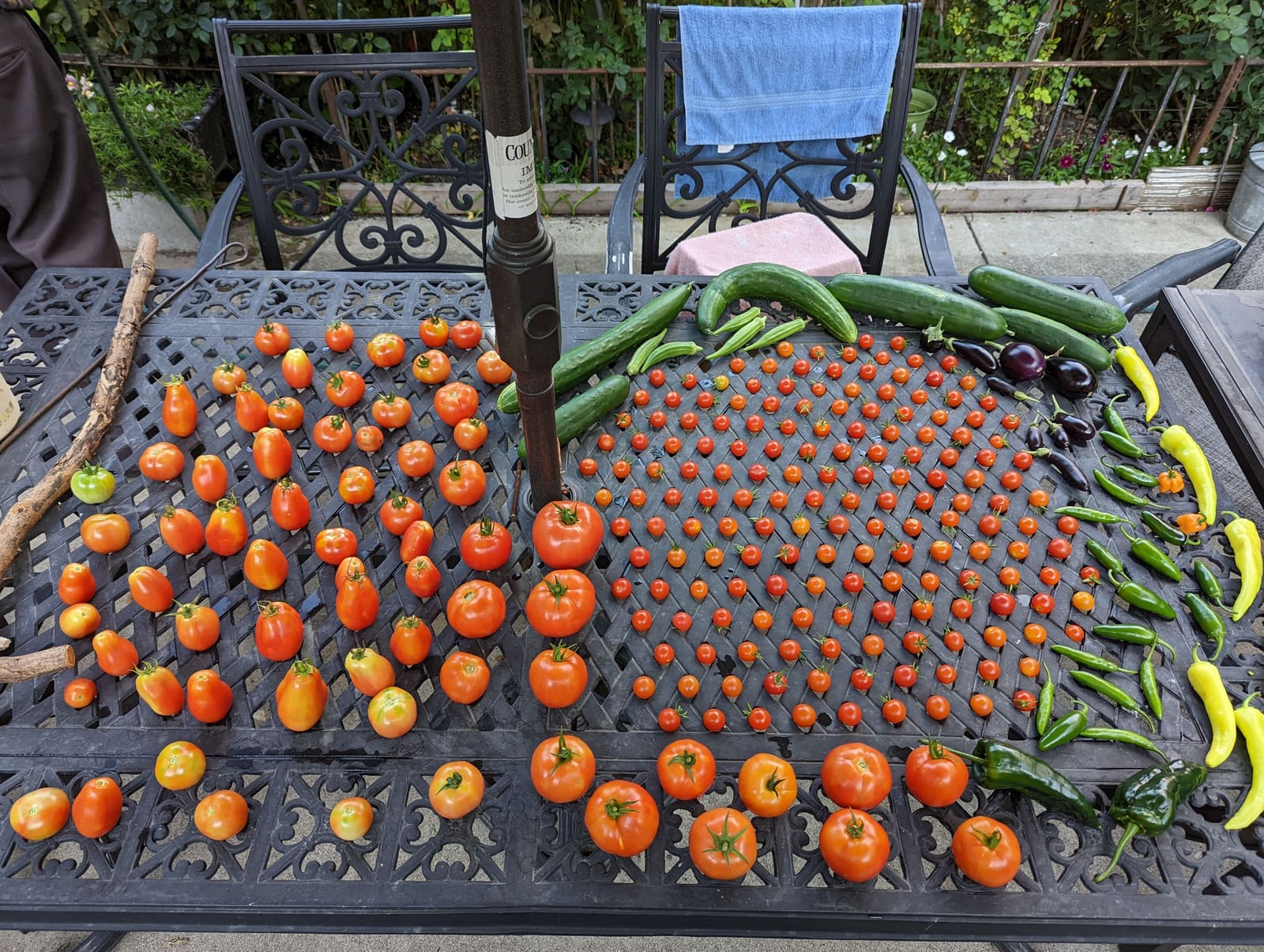 The week's harvest arranged on the table. August 2022.