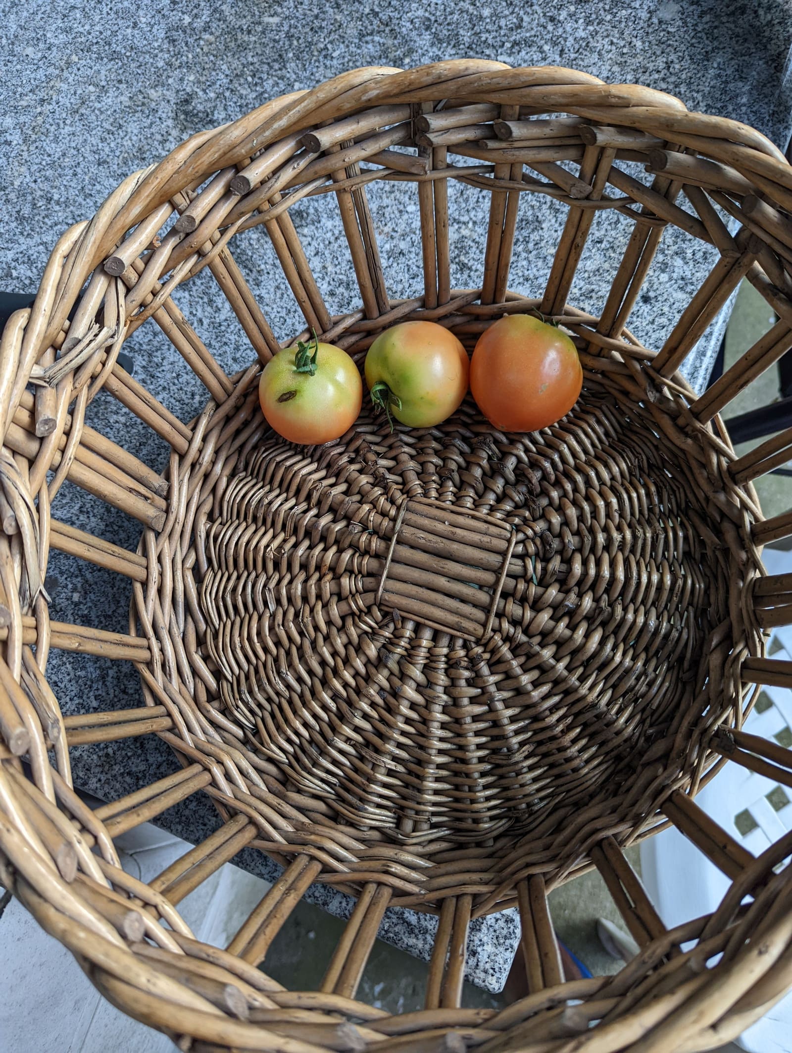 The week's harvest arranged on the table. July 2022.