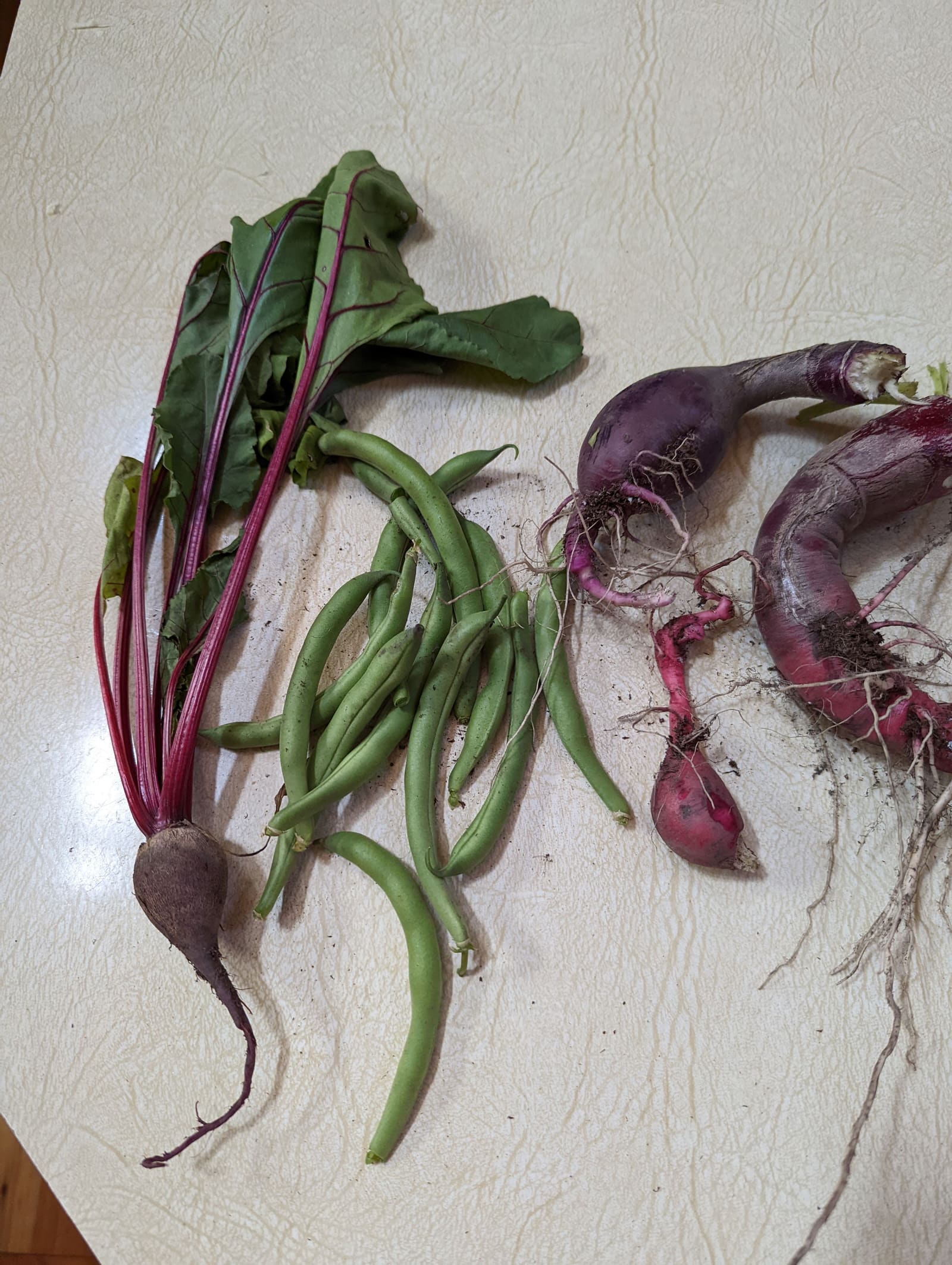Vegetables picked that week. June 2022.