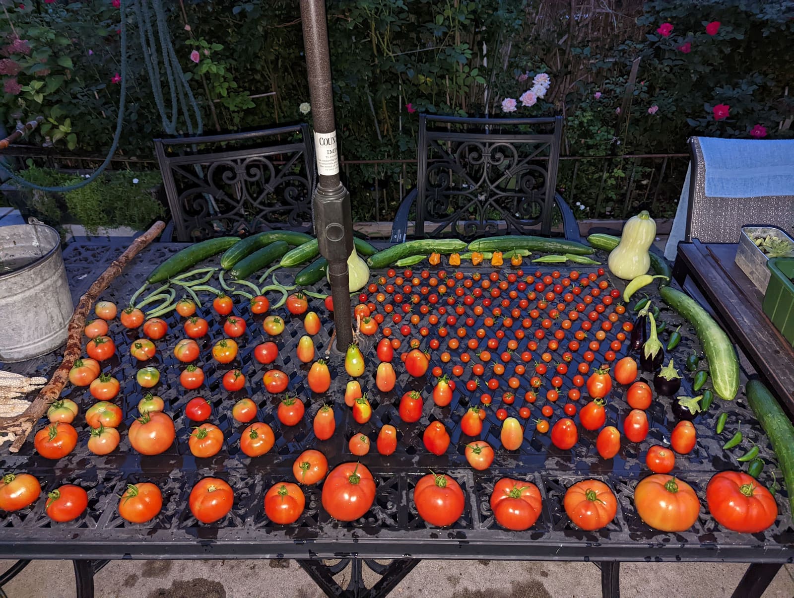 The week's harvest arranged on the table. August 2022.