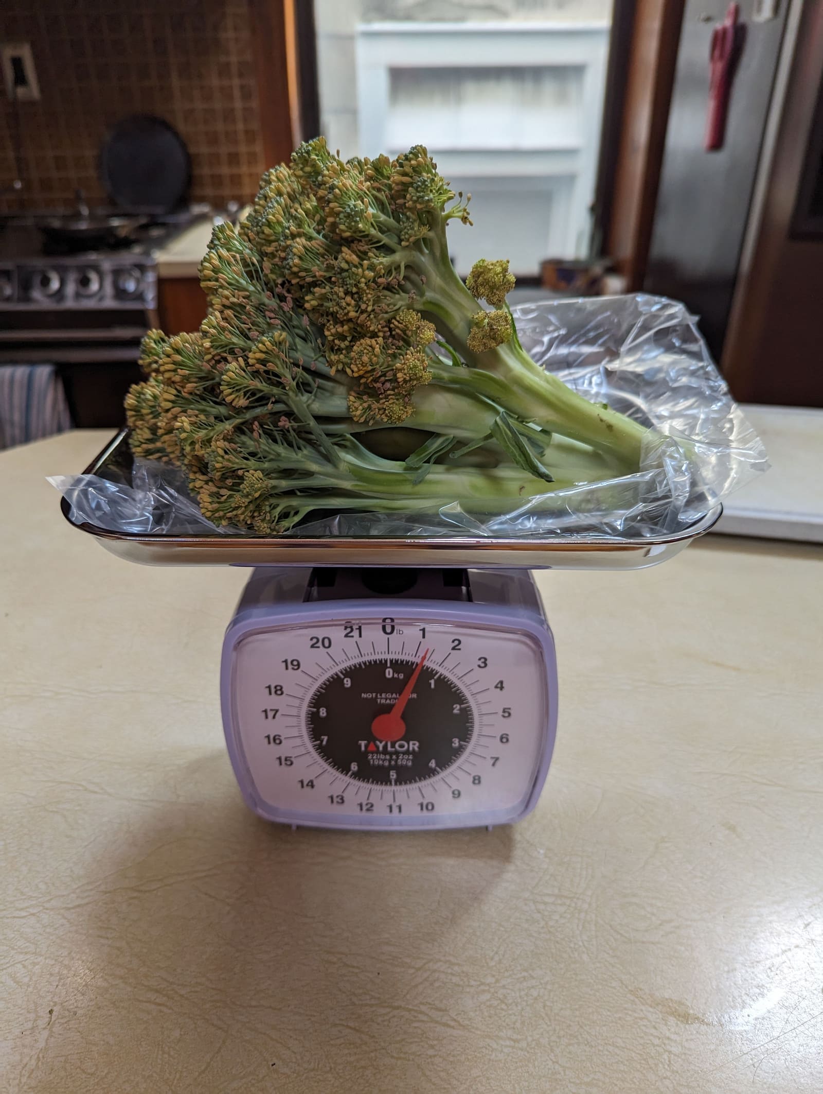 The week's harvest on the scale. July 2023.
