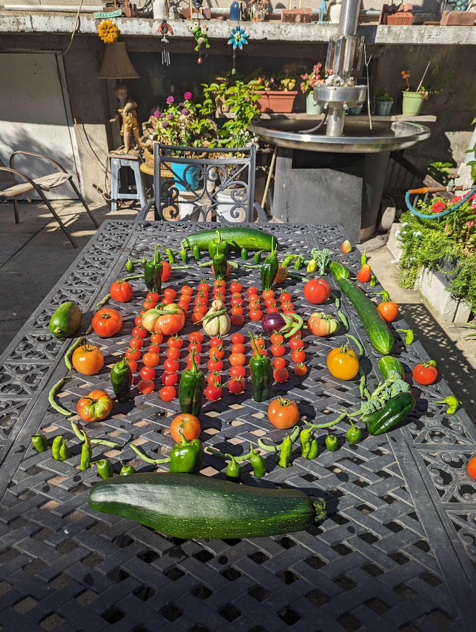 The week's harvest arranged on the table. September 2023.