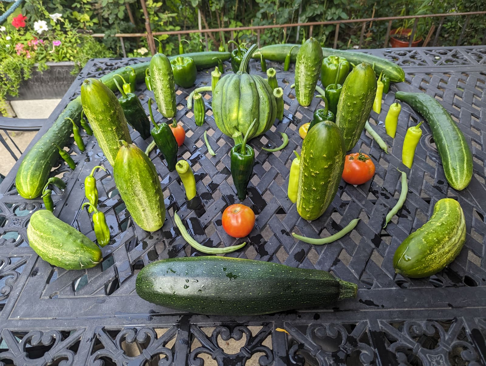 The week's harvest arranged on the table. July 2023.