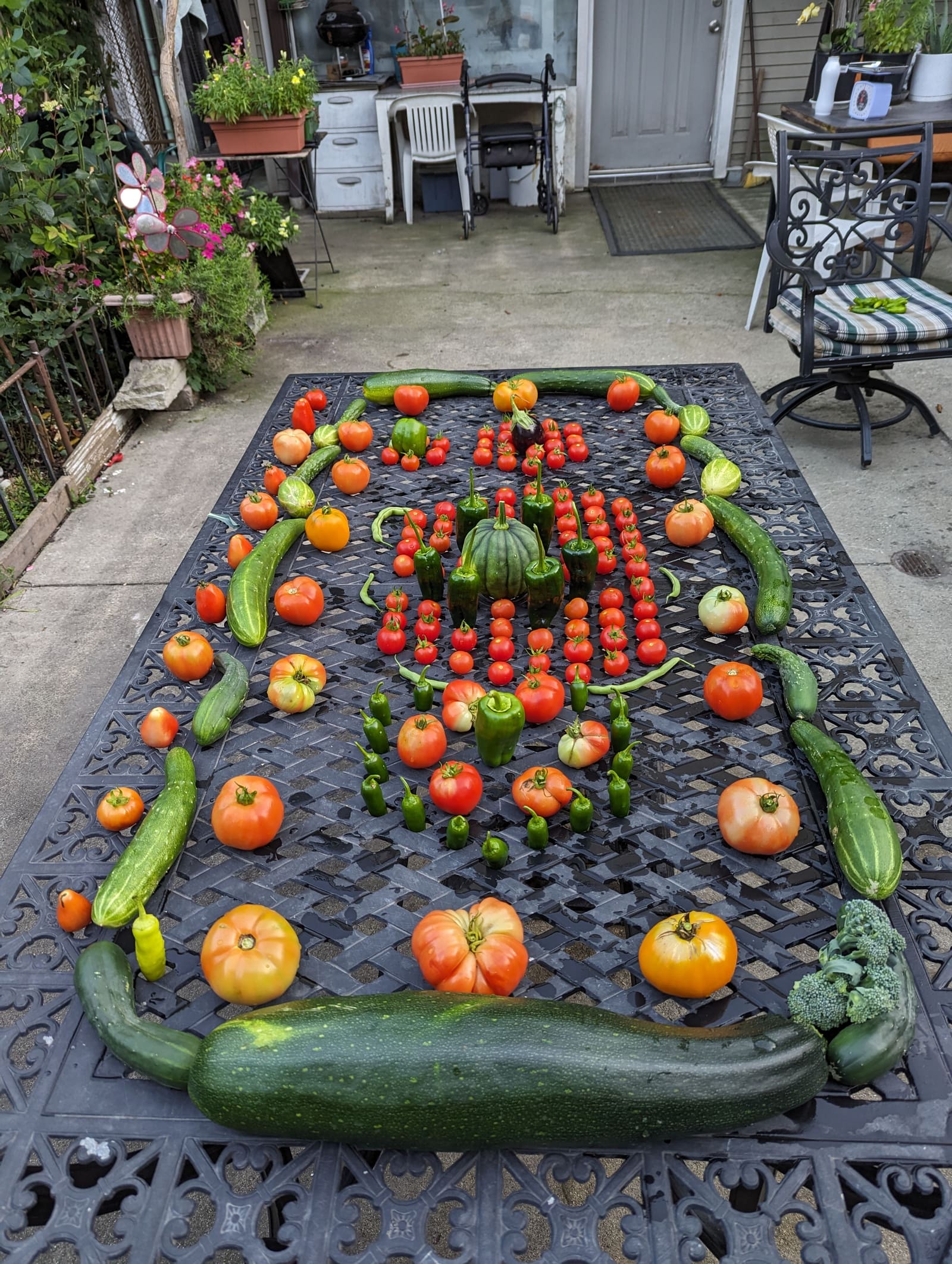 The week's harvest arranged on the table. September 2023.