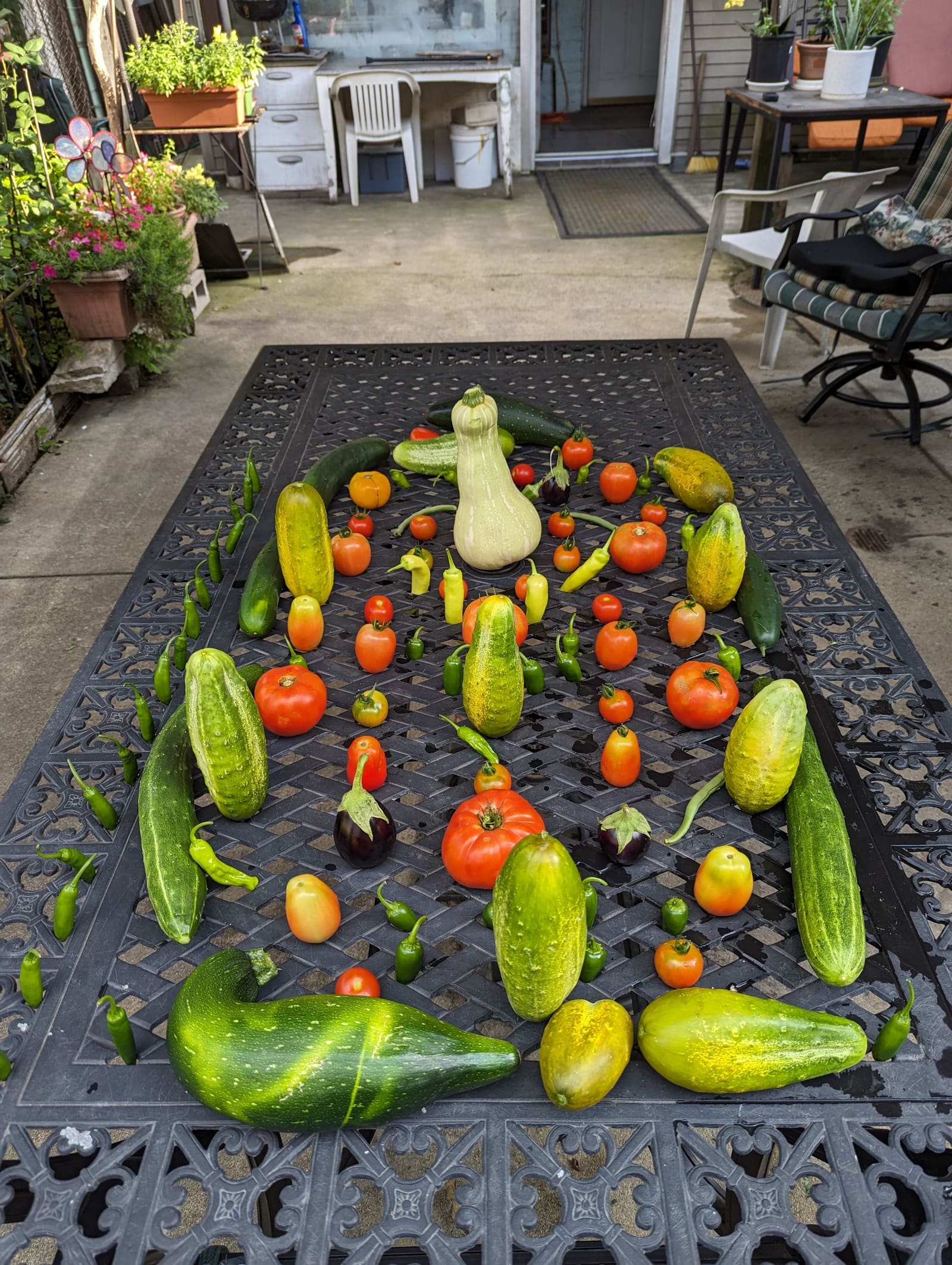 The week's harvest arranged on the table. August 2023.