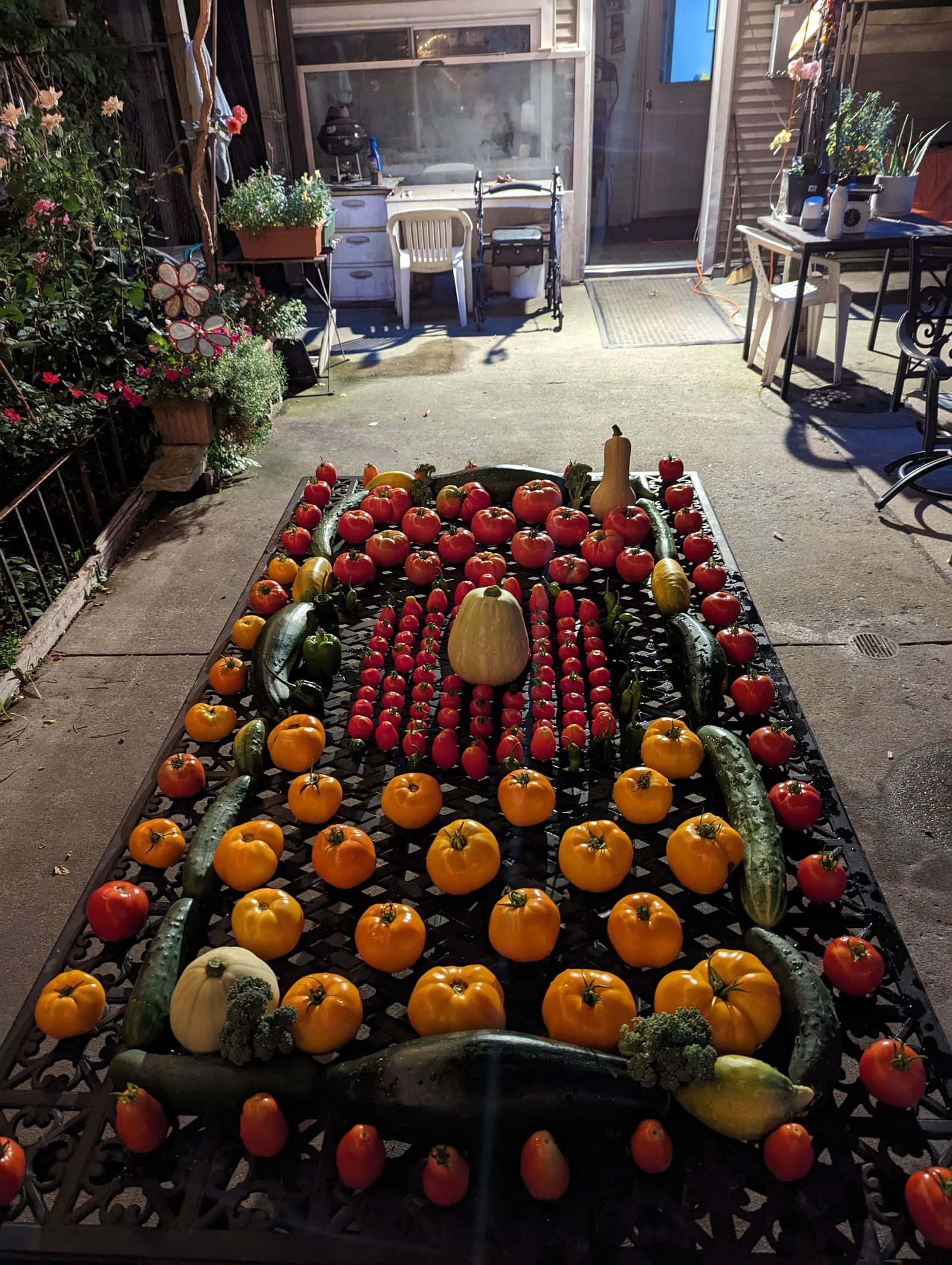 The week's harvest arranged on the table. September 2023.