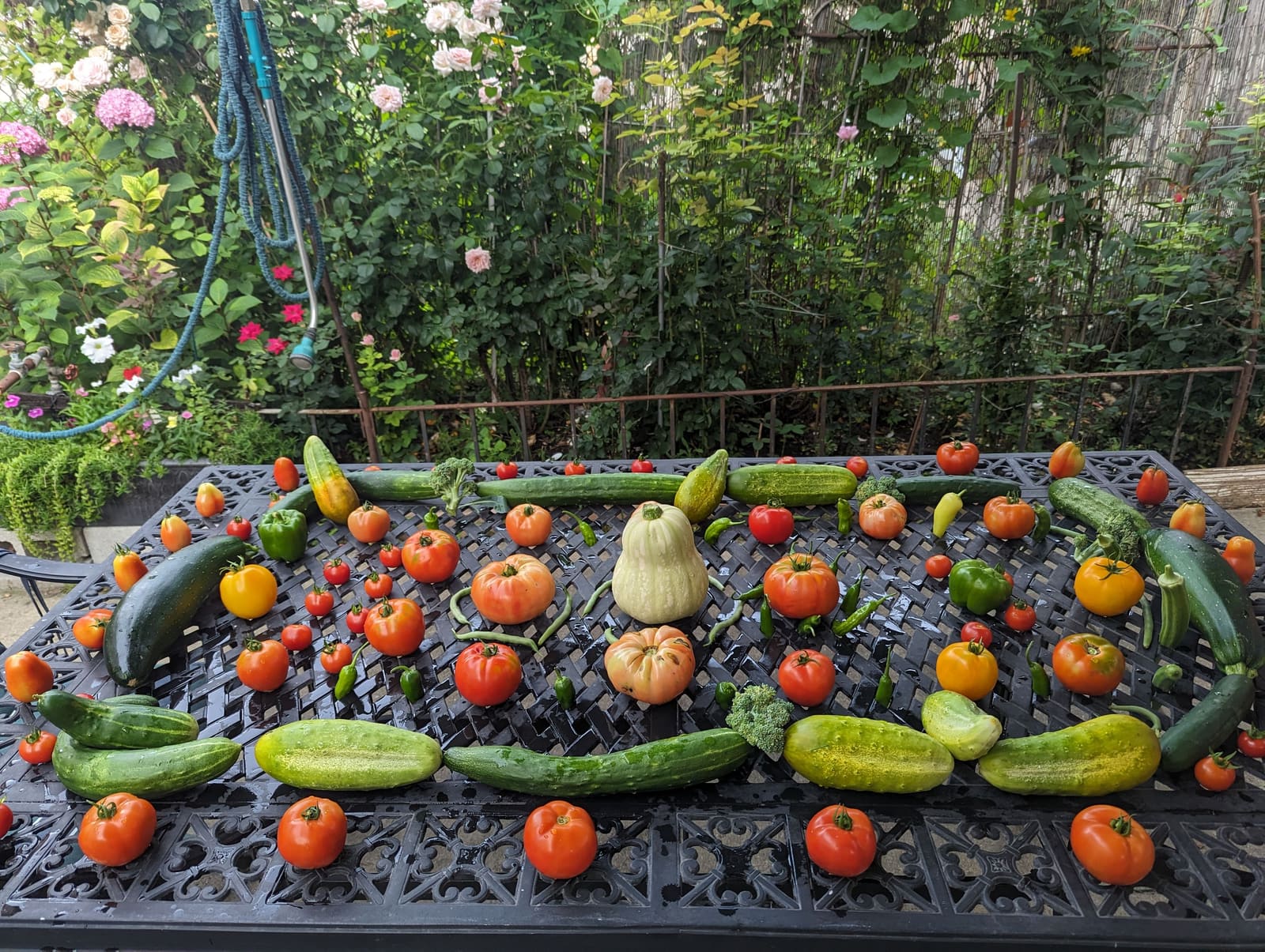 The week's harvest arranged on the table. August 2023.